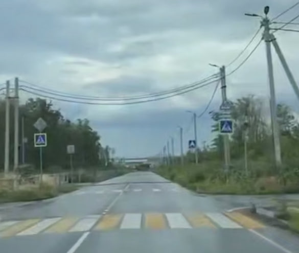 Слюсарь отчитал чиновников, перекрывших дорогу с 22 «зебрами» под Ростовом - фото 1