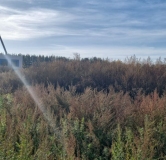 Ход строительства дома 11.1 в ЖК Форест -