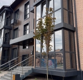 Ход строительства дома Литер 21 в ЖК Nova Vita (Нова Вита) -