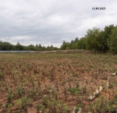 Ход строительства дома 23 в ЖК Балтым-Парк -