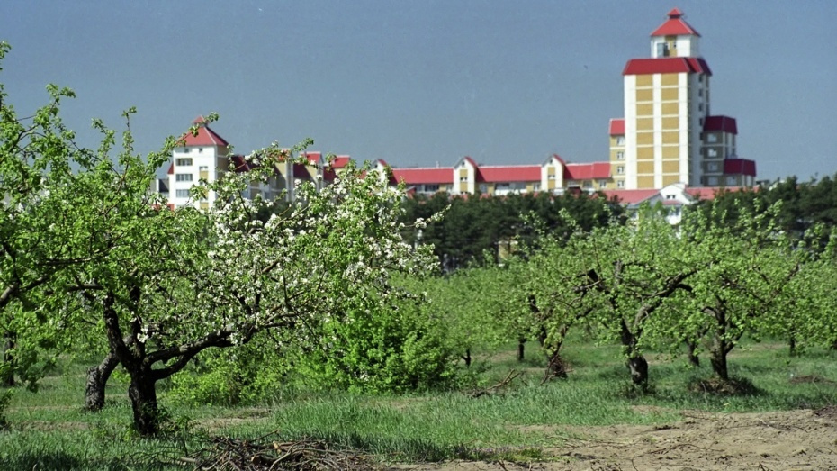 Бывшие яблоневые сады отошли в собственность Воронежа - фото 1