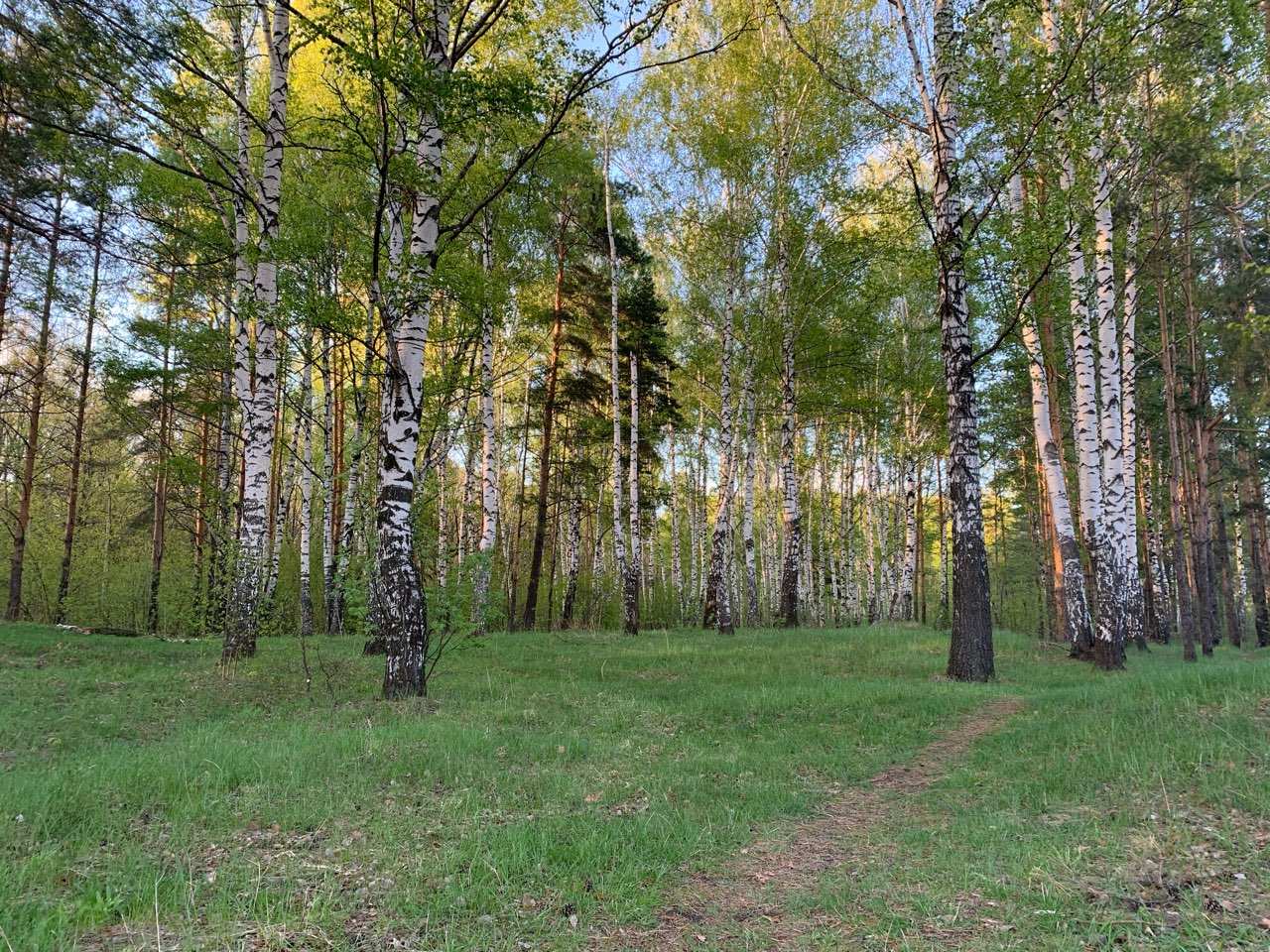 Первый национальный парк могут создать в Нижегородской области в 2024 году - фото 1