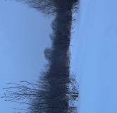 Ход строительства дома 2, секция 2.2 в ЖК Расцветай в Новолуговом -