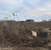 Ход строительства дома 9.2 в ЖК Форест -