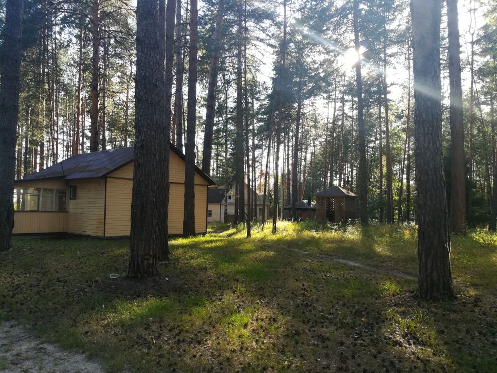 Россияне стали покупать мини-домики на период строительства «большого» жилья - фото 1
