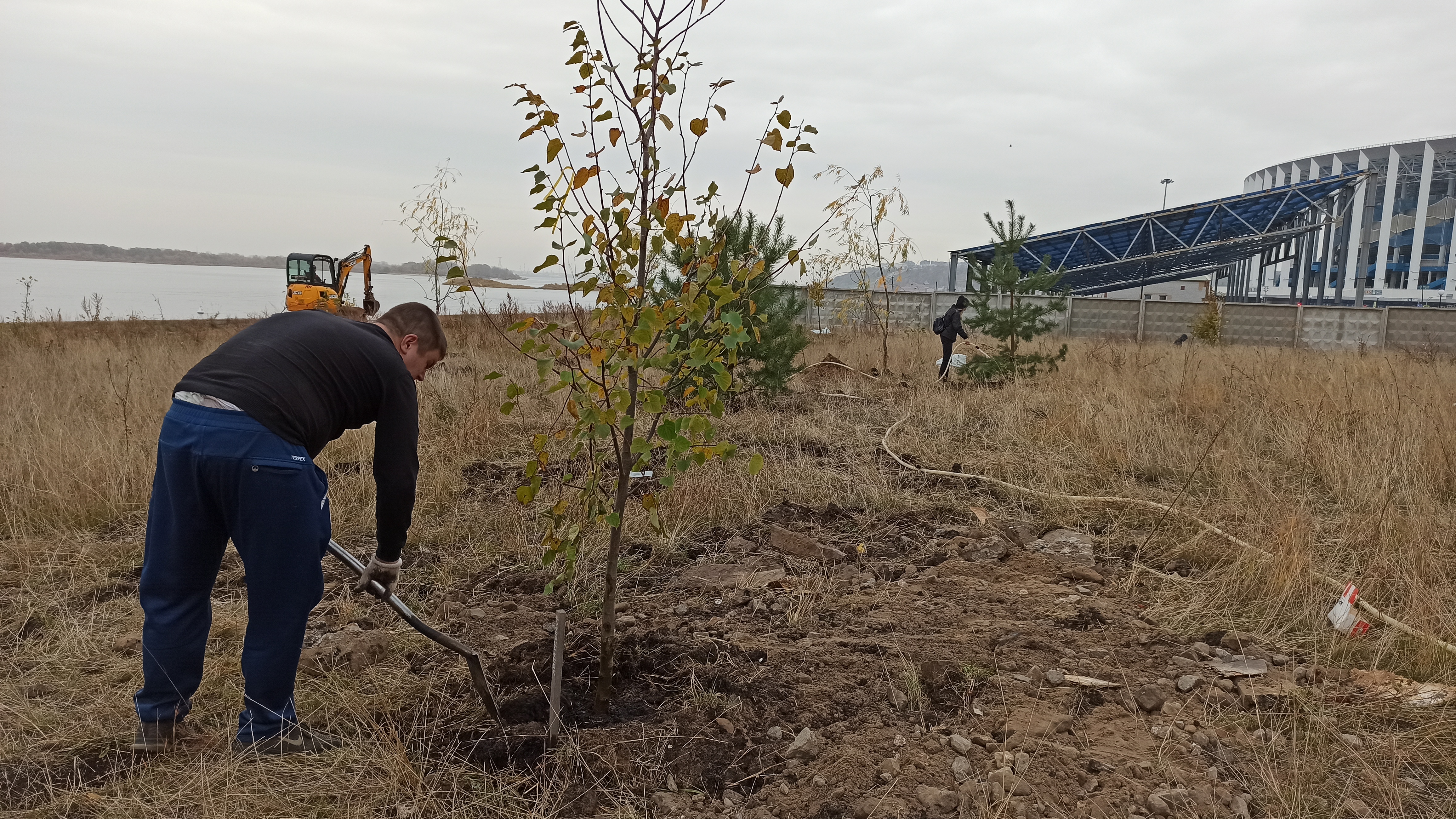 850 деревьев и 7 тысяч кустарников высадили в Нижнем Новгороде - фото 1