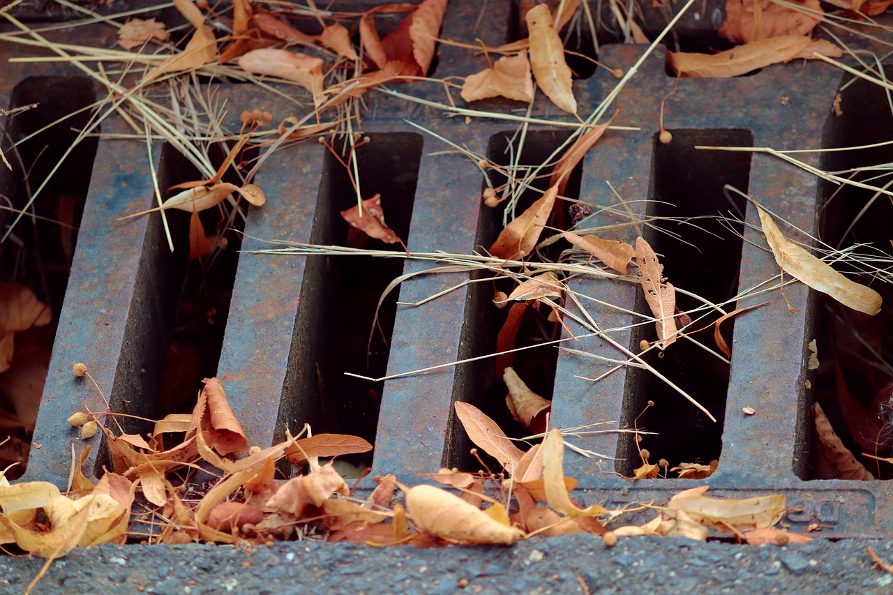 В крупном микрорайоне Воронежа забил фекальный фонтан - фото 1