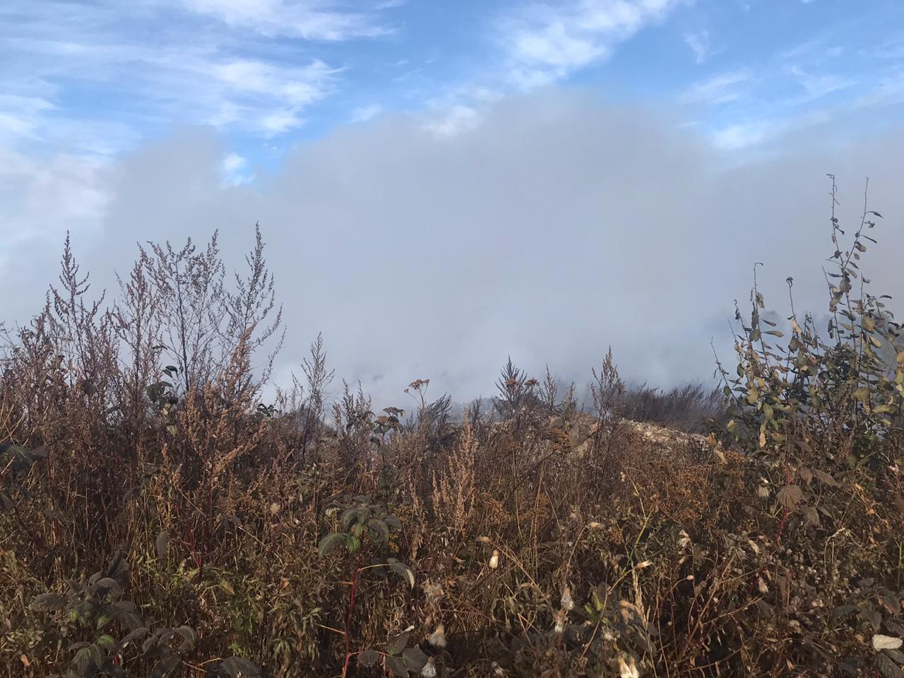 Богородск накрыло дымом от горящей свалки - фото 2