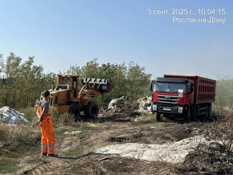 Источник: администрация Ростова-на-Дону