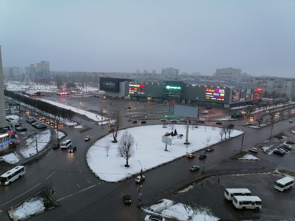 Штрафы за неоплату парковки в центре Воронежа отменили на две недели  - фото 1