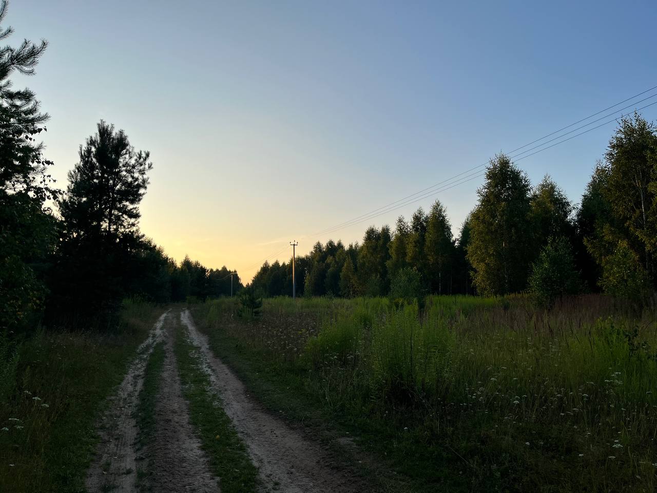 Штаб по борьбе с борщевиком могут создать в Нижегородской области - фото 1