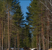 Ход строительства дома 9 в ЖК Glorax Экосити (Урбан-квартал) -