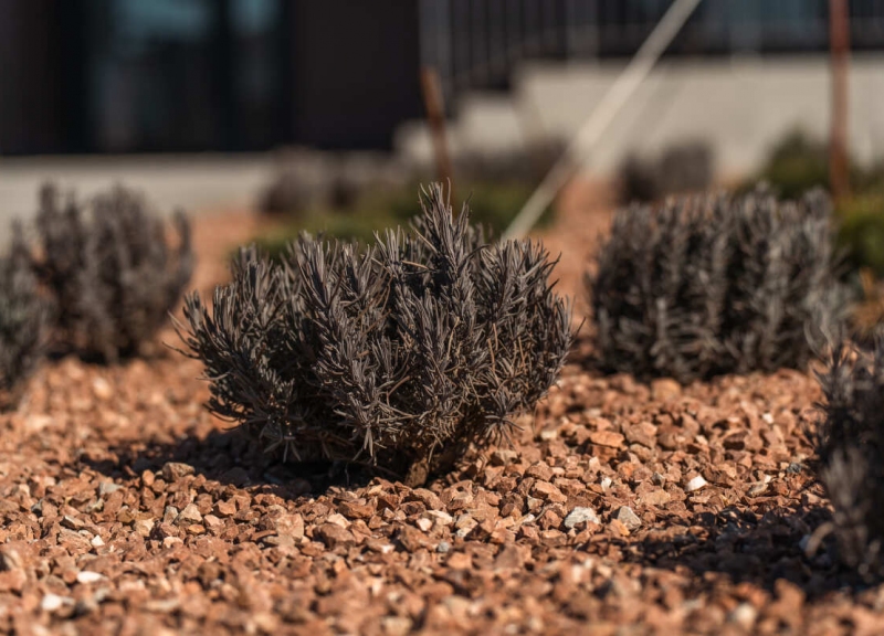 Дом Литер 1.2 в ЖК Флора - фото 28