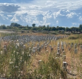 Ход строительства дома 5.7 в ЖК ЭКО-квартал на Кедровой -