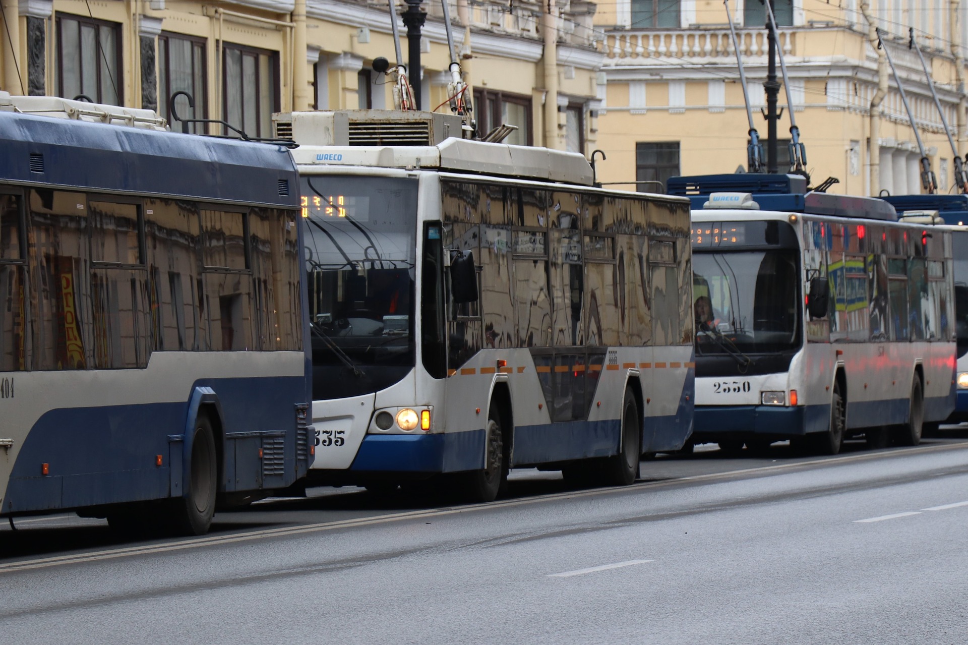 Воронежцы больше не смогут экономить на поездках в транспорте - фото 1